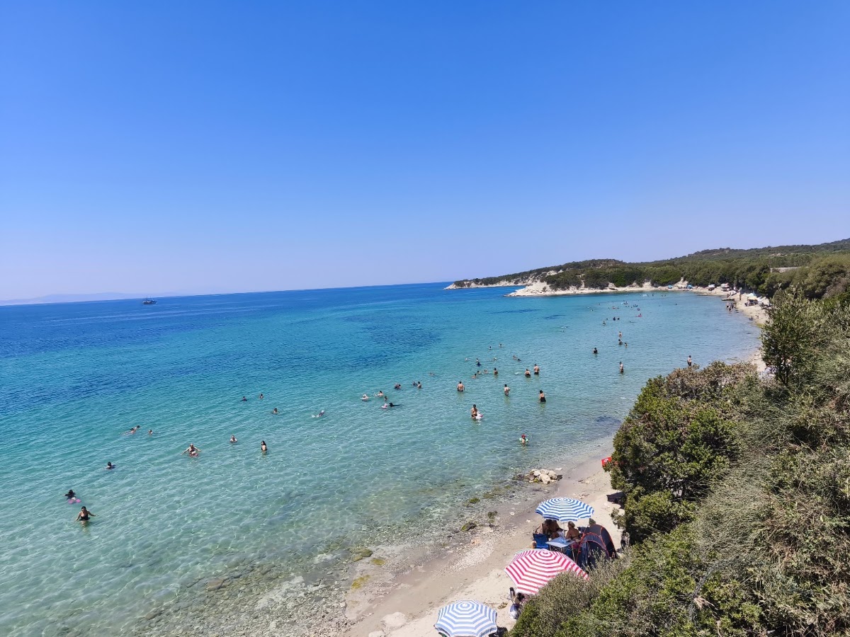 Bademli Köyü - Pissa Koyu üst otopark - Fotoğraf 2