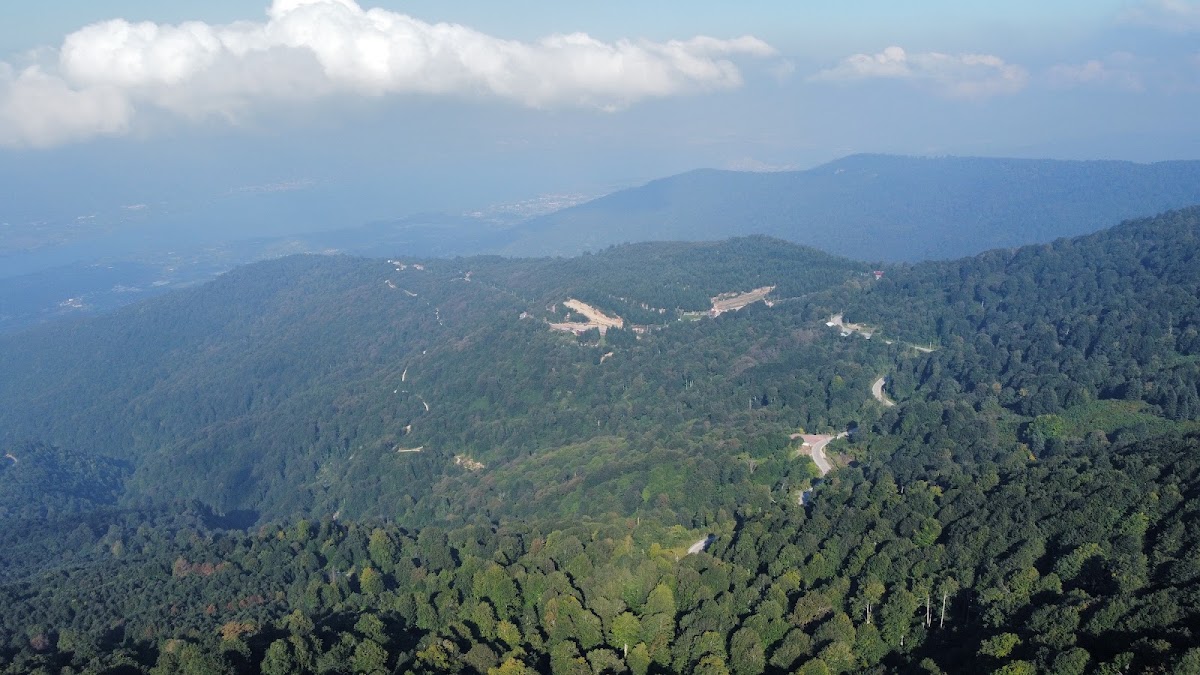 Kuzu Yaylası Tabiat Parkı - Fotoğraf 2