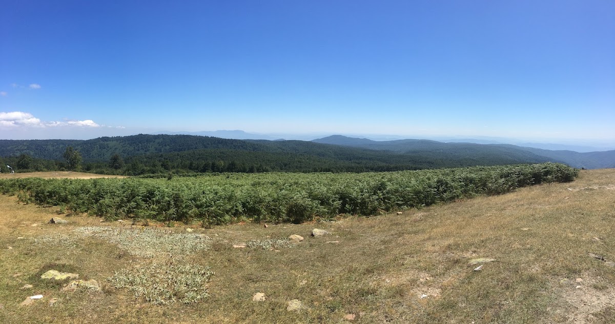 Altıoluk Yaylası - Fotoğraf 1