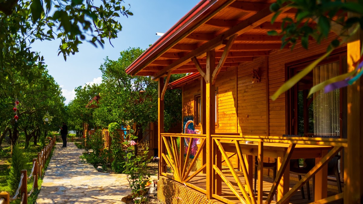 Adrasan Sahili ve Ağaç Evler - Fotoğraf 2