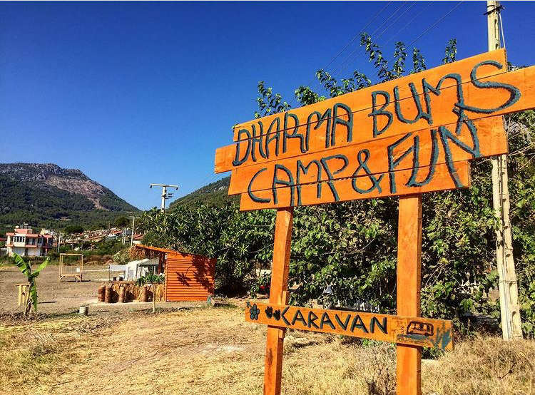 Dharma Bums - Fotoğraf 1