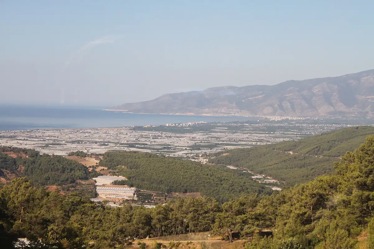 Dharma Bums - Fotoğraf 3