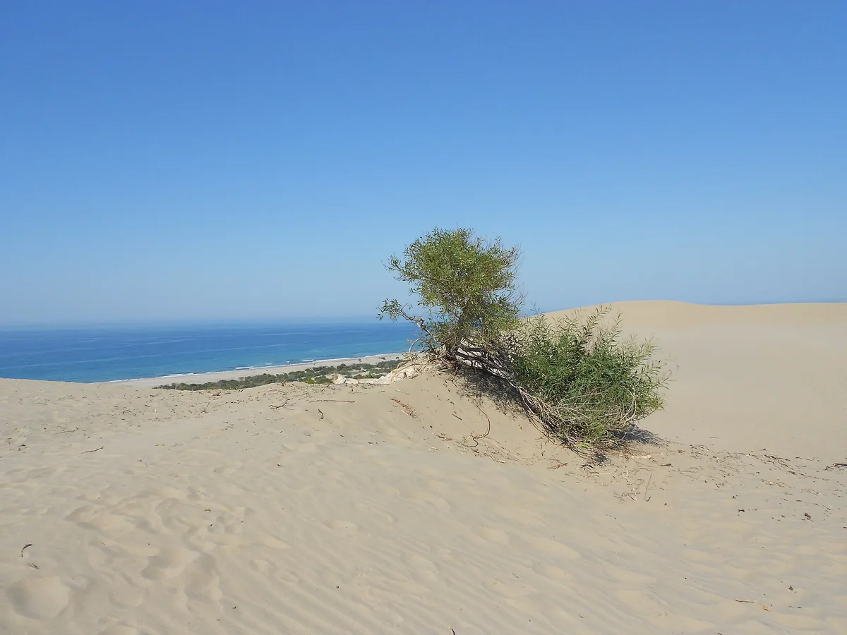 Patara Kumulları