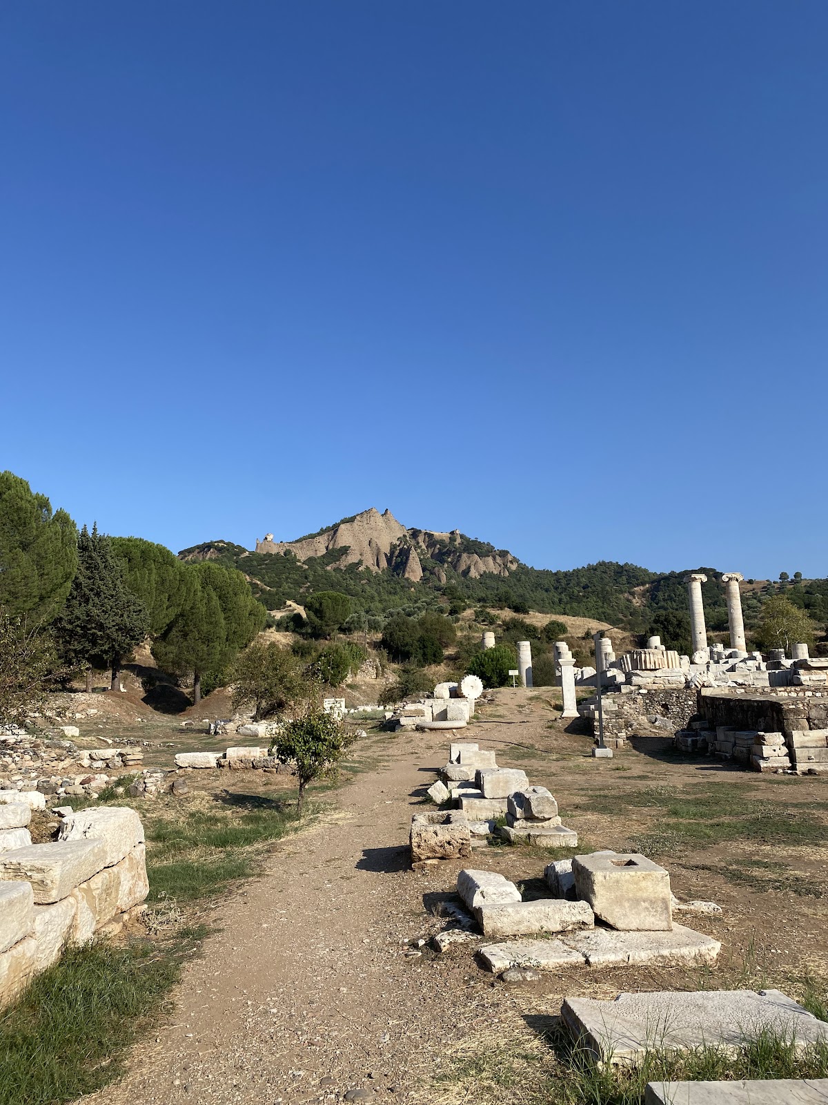 Artemis Tapınağı Sardes Salihli Manisa - Fotoğraf 2