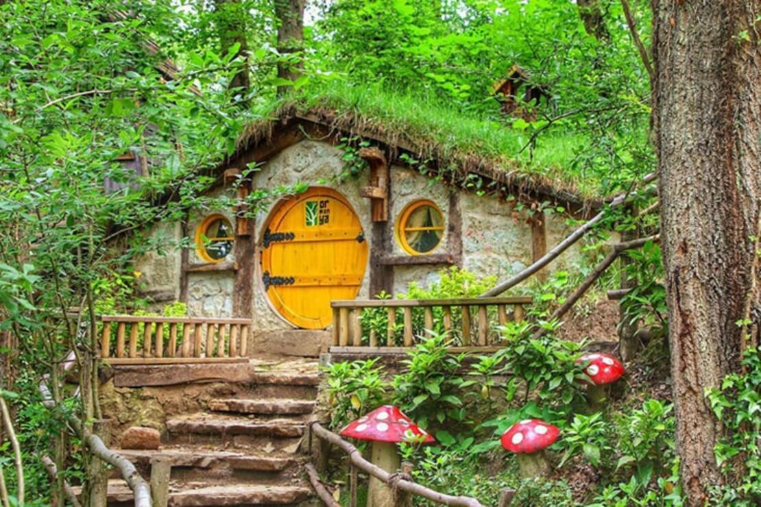 Ormanya Doğal Yaşam Parkı Kartepe Kocaeli - Fotoğraf 2