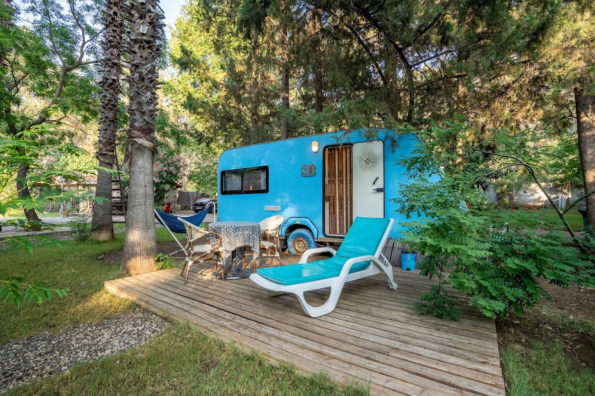 Bördübet Amazon Koyu Kamp Alanı - Fotoğraf 1