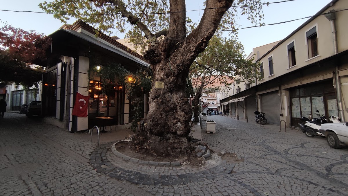 Bergama Tarihi Sokakları ve Kozak Caddesi - Fotoğraf 1