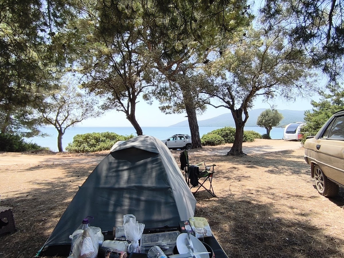 Gürçamlar Orman İçi Sahil Kamp Alanı - Fotoğraf 2
