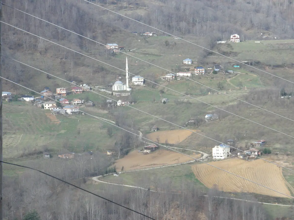 Nebiyan Dağı Etekleri Kamp Alanı (OGM Binası Yanı) - Fotoğraf 4