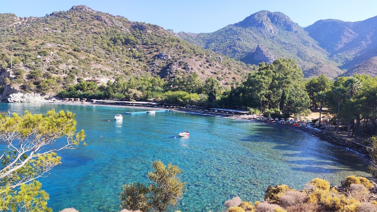 Neden DATÇA? Gizli Deniz, Doğa ve Bükler