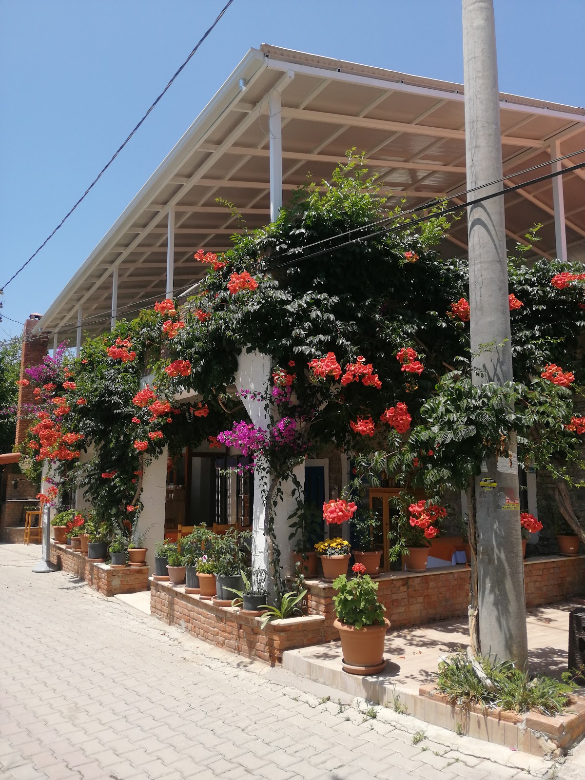 Mesudiye Köyü - Fotoğraf 1