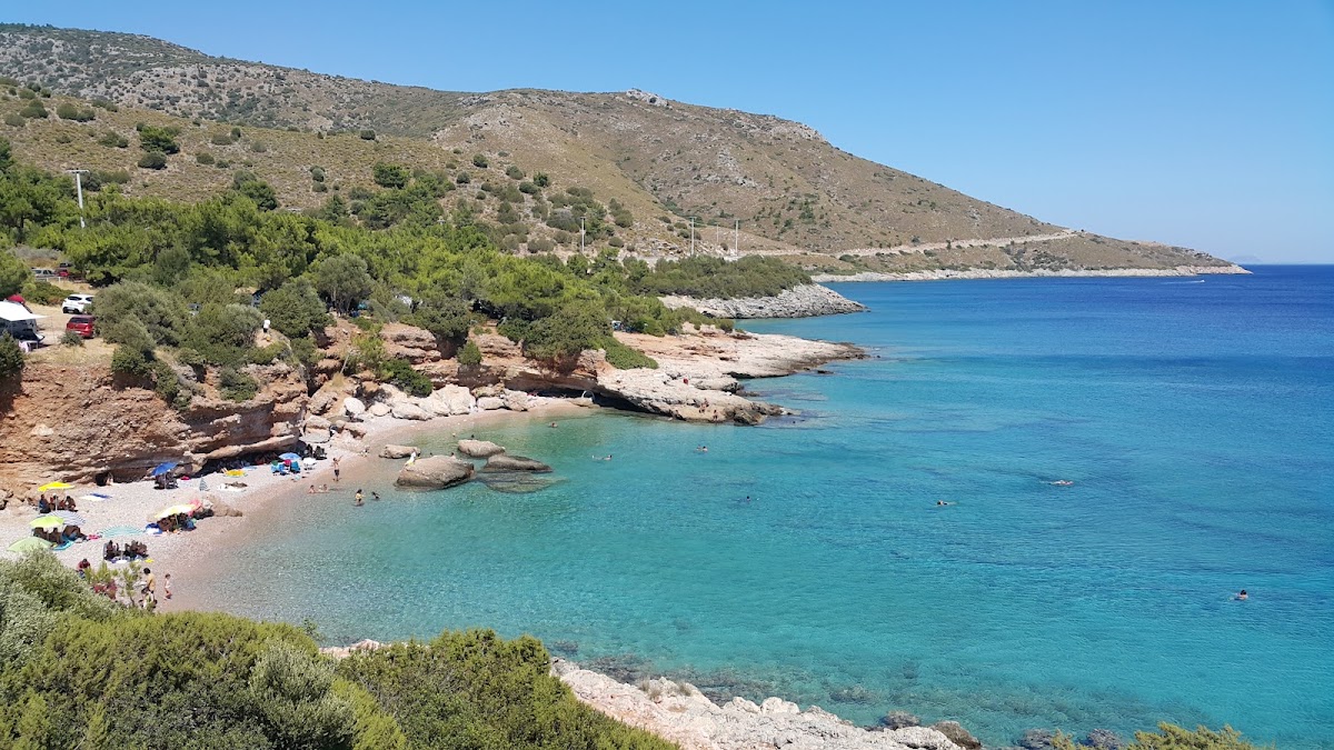 Palamutbükü Akvaryum Koyu - Fotoğraf 1