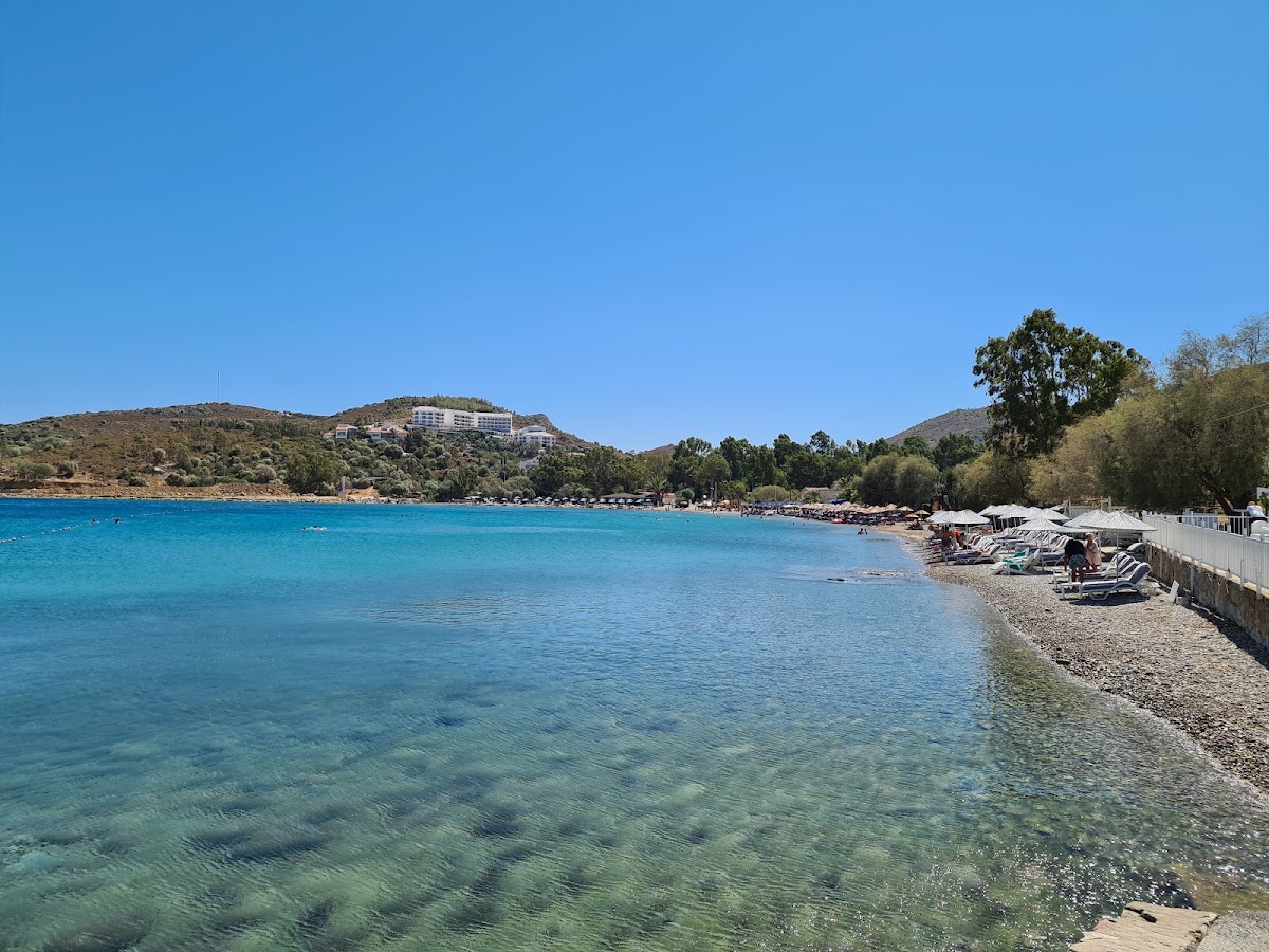 Taşlık Plajı & Datça Limanı - Fotoğraf 2