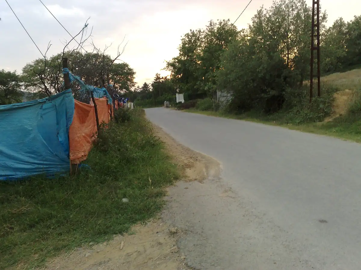 Esenceli Köyü Ömerli Barajı Yarımadası Kamp Noktası - Fotoğraf 3