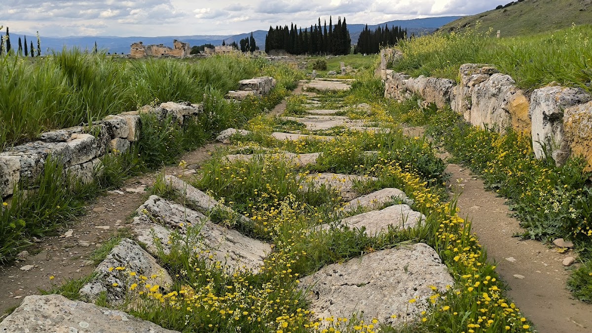 Hierapolis Antik Kenti ve Pamukkale Travertenleri (Güney Kapı Girişi) - Fotoğraf 2