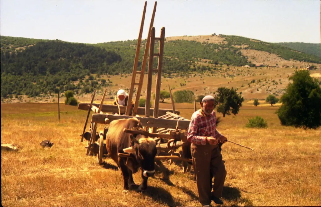 Zümrüt Köyü ve Kurumuş Dere Yatağı Rotası