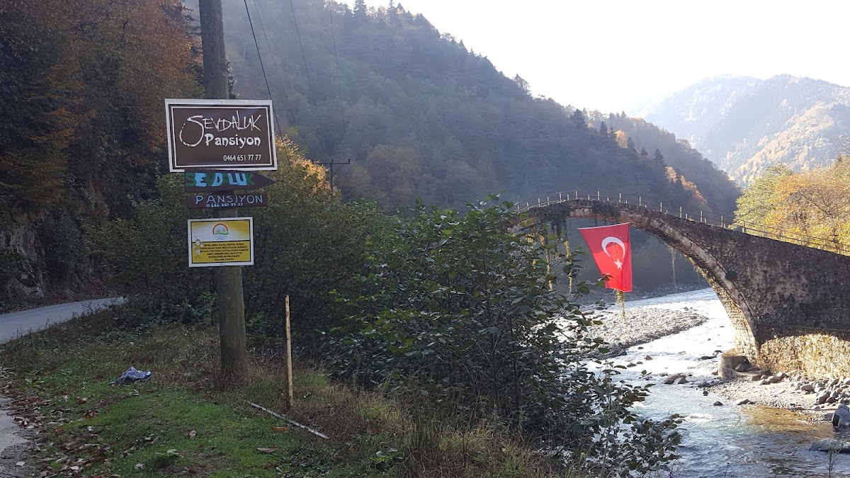Rize Gito Yaylası ve Badara Yaylası Doğa Keşfi