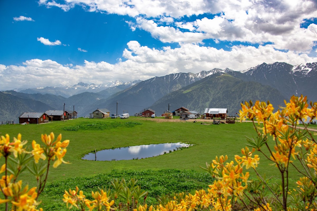 Badara Yaylası - Fotoğraf 1