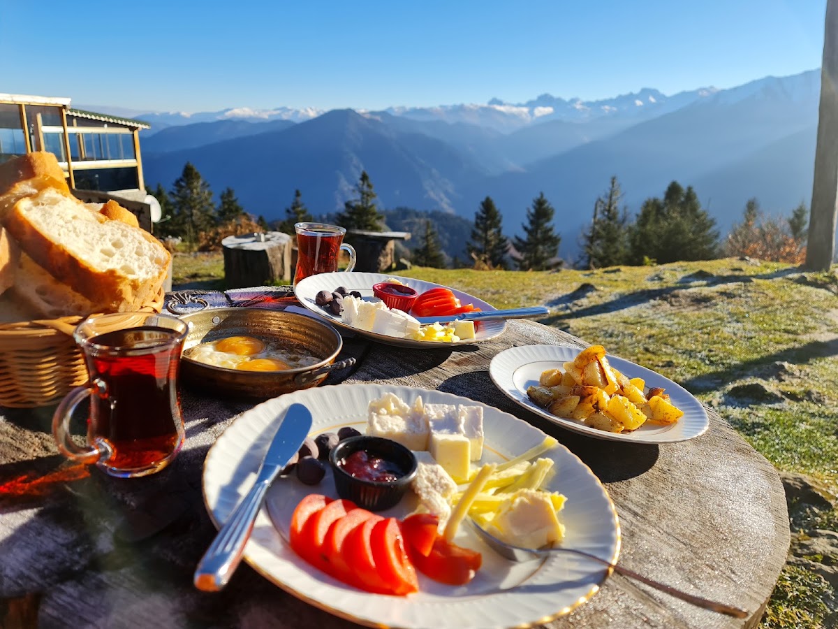 Badara Yaylası - Fotoğraf 3