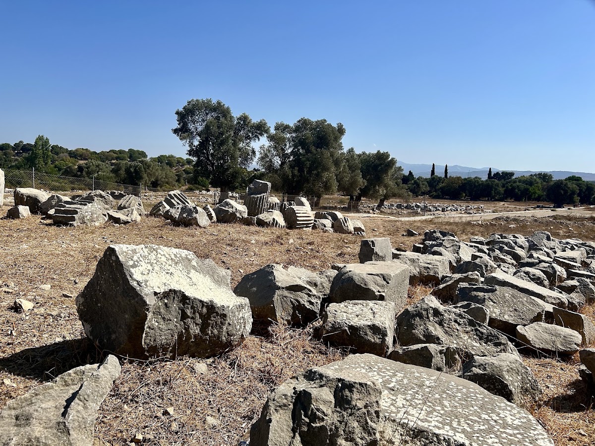 Teos Antik Kenti (Seferihisar) - Fotoğraf 2