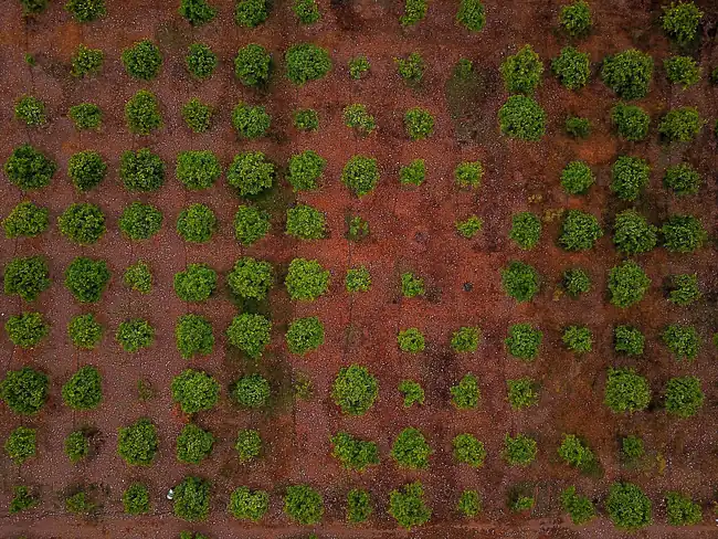 Teos Antik Kenti (Seferihisar) - Fotoğraf 3