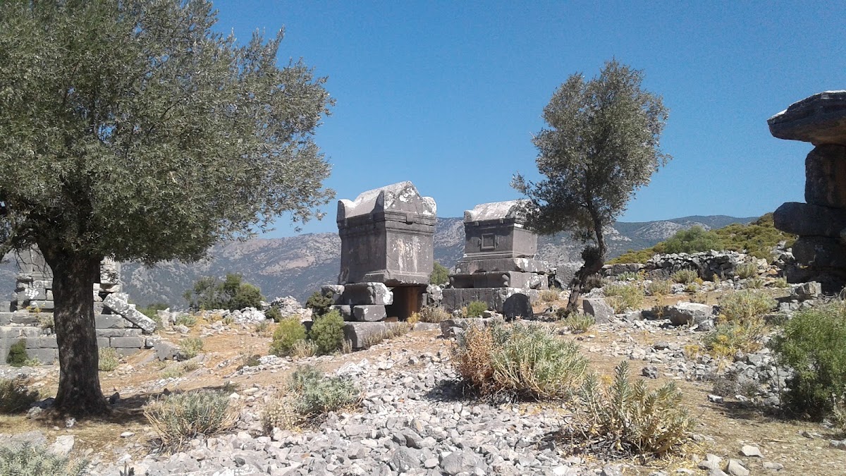 Dodurga - Boğaziçi Yolu Zeytinlik Kamp Alanı - Fotoğraf 1