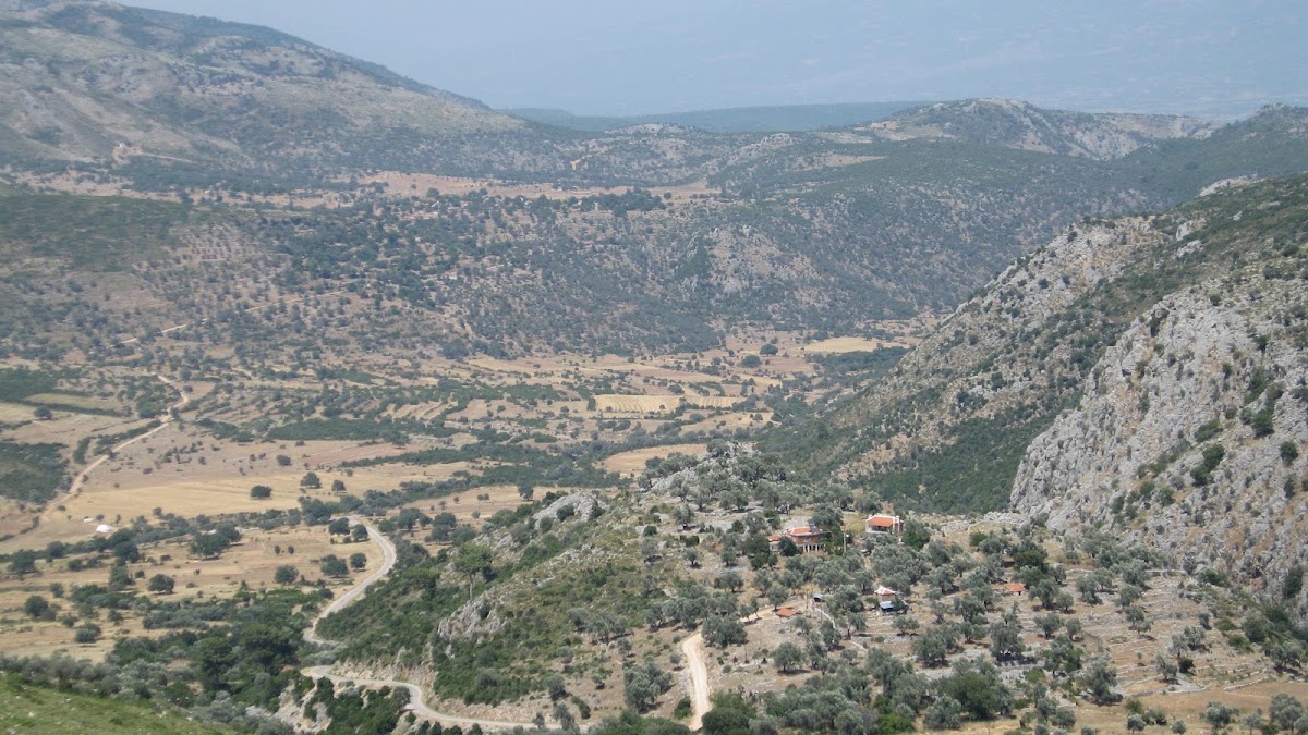 Dodurga - Boğaziçi Yolu Zeytinlik Kamp Alanı - Fotoğraf 2