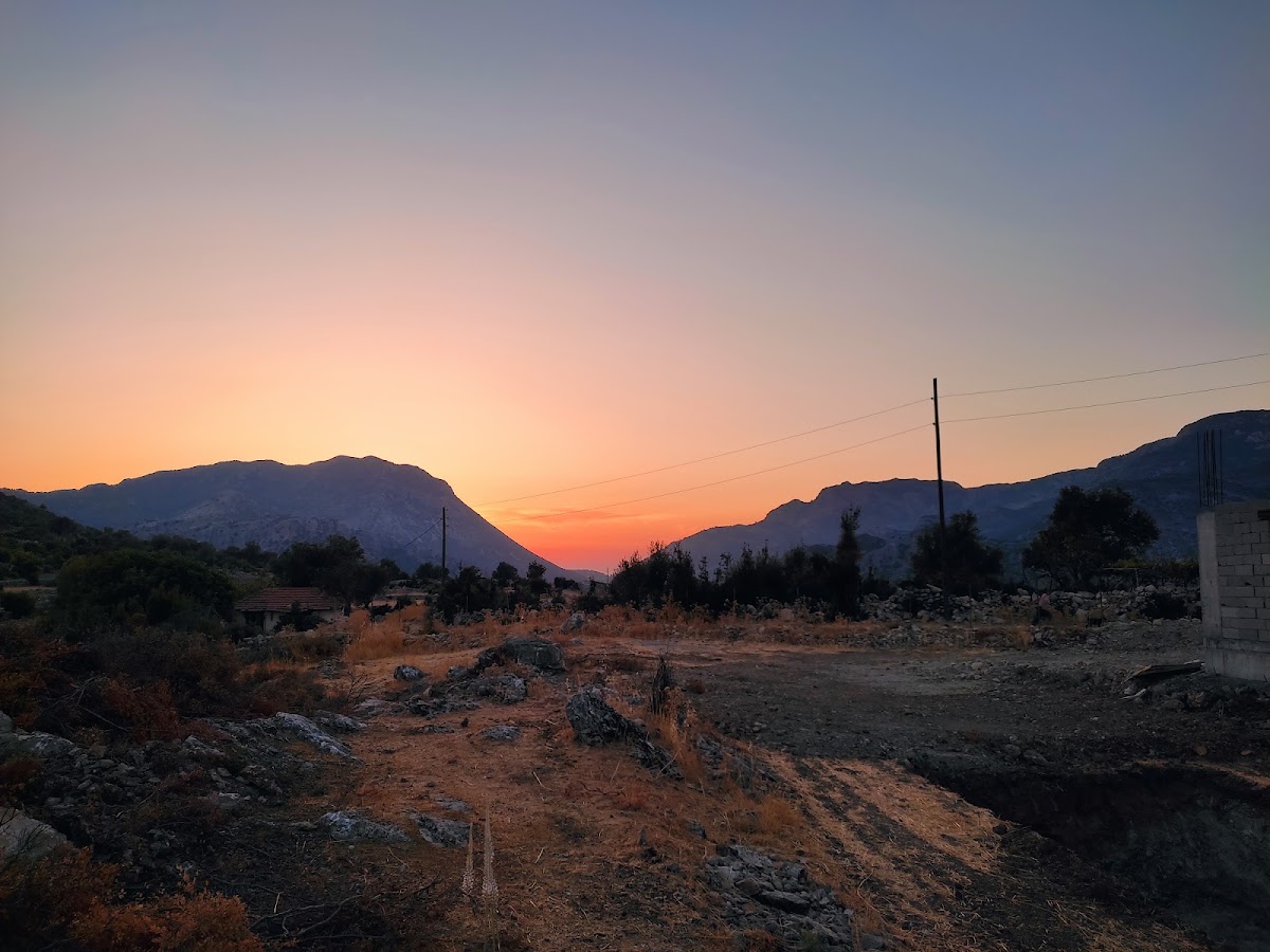 Dodurga - Boğaziçi Yolu Zeytinlik Kamp Alanı - Fotoğraf 3
