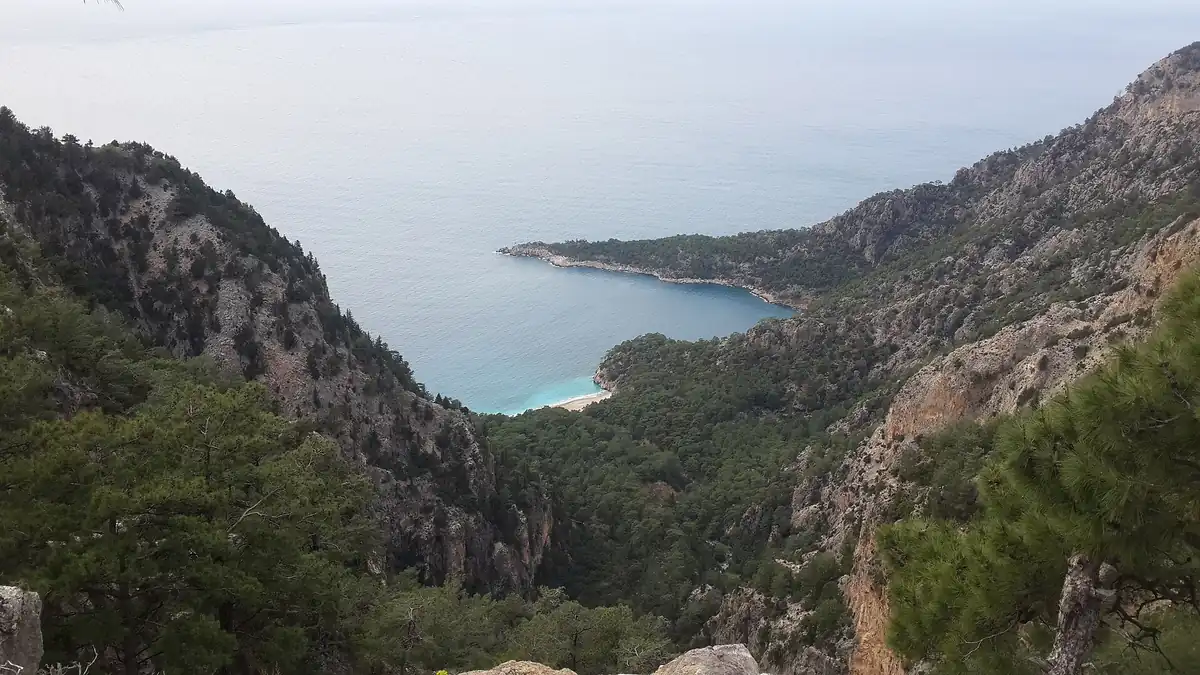 Dodurga - Boğaziçi Yolu Zeytinlik Kamp Alanı - Fotoğraf 4