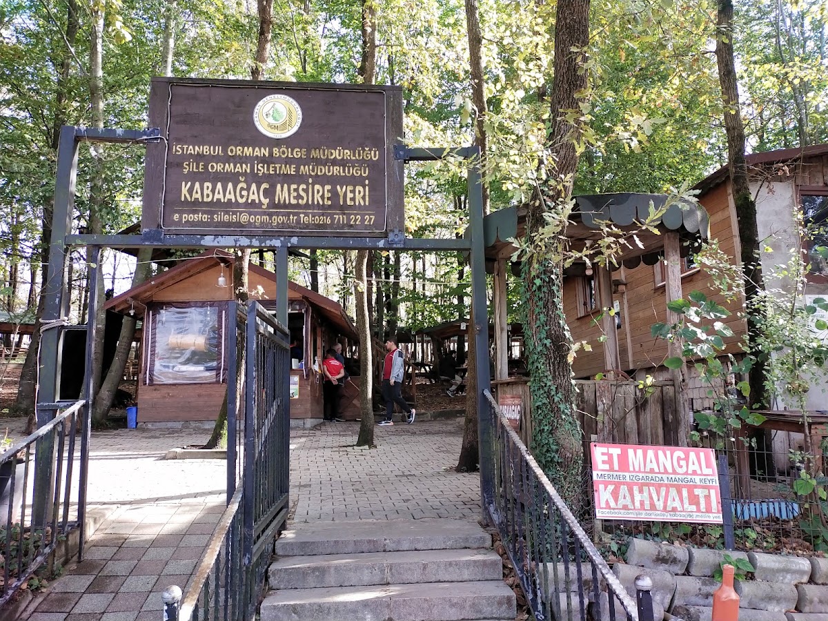 Şile Hacıllı Kampı