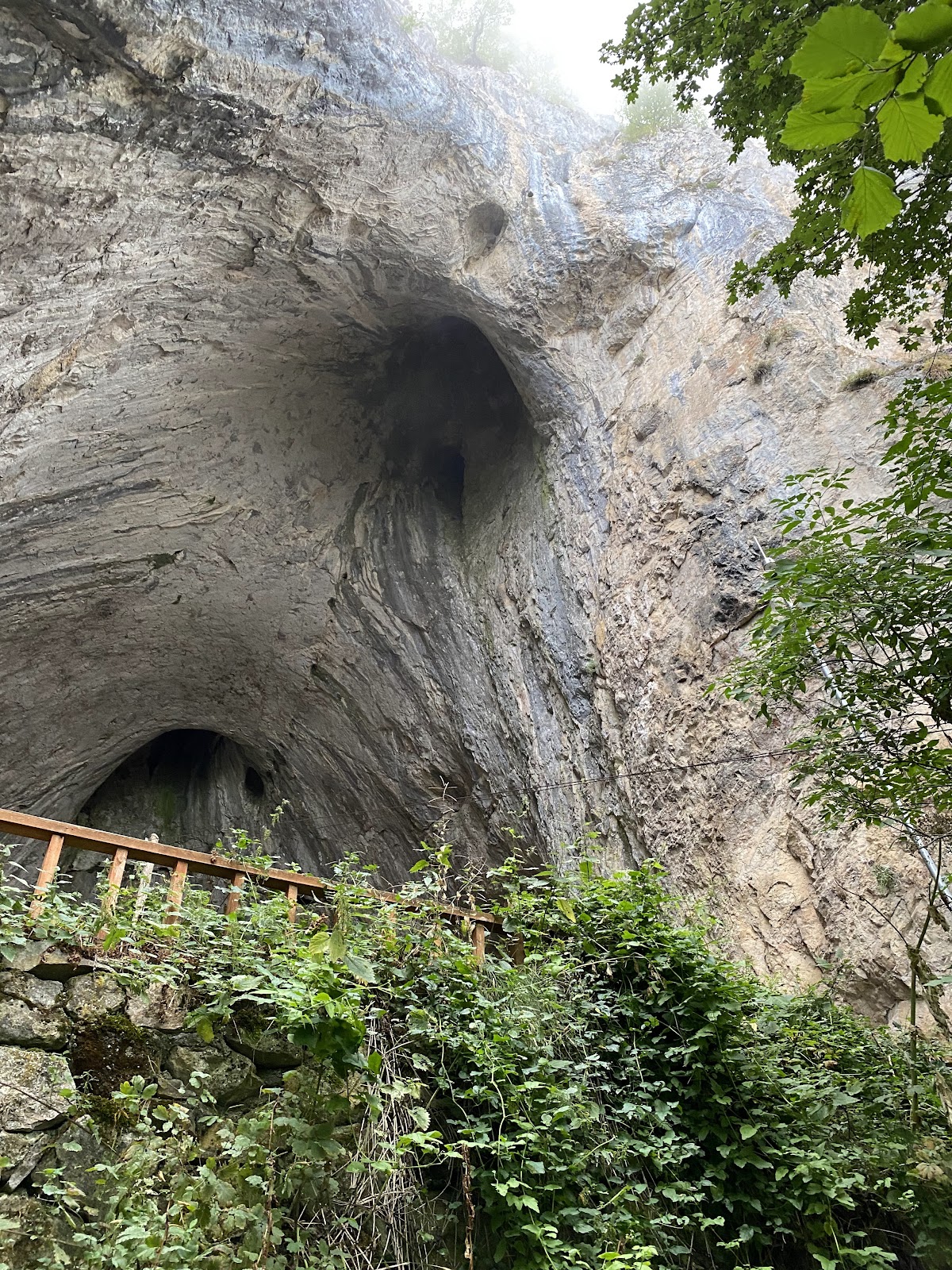Ayancık İnaltı Mağarası - Fotoğraf 2
