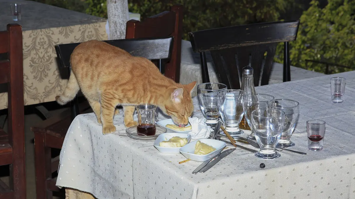 Şirince Köy Merkezi ve Taş Sokaklar - Fotoğraf 3