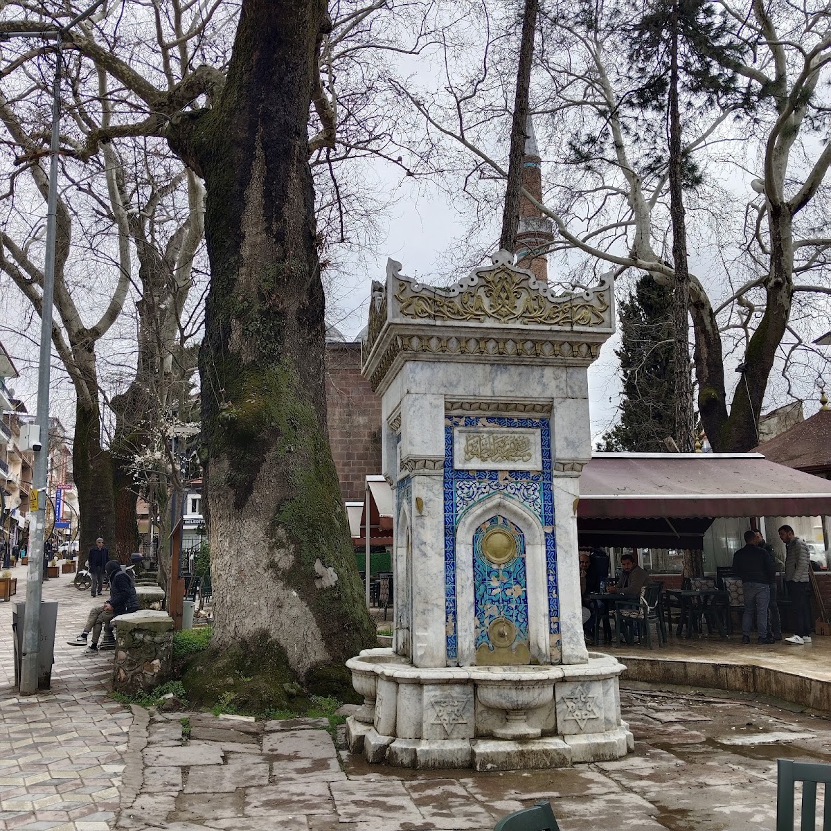 Söğüt
