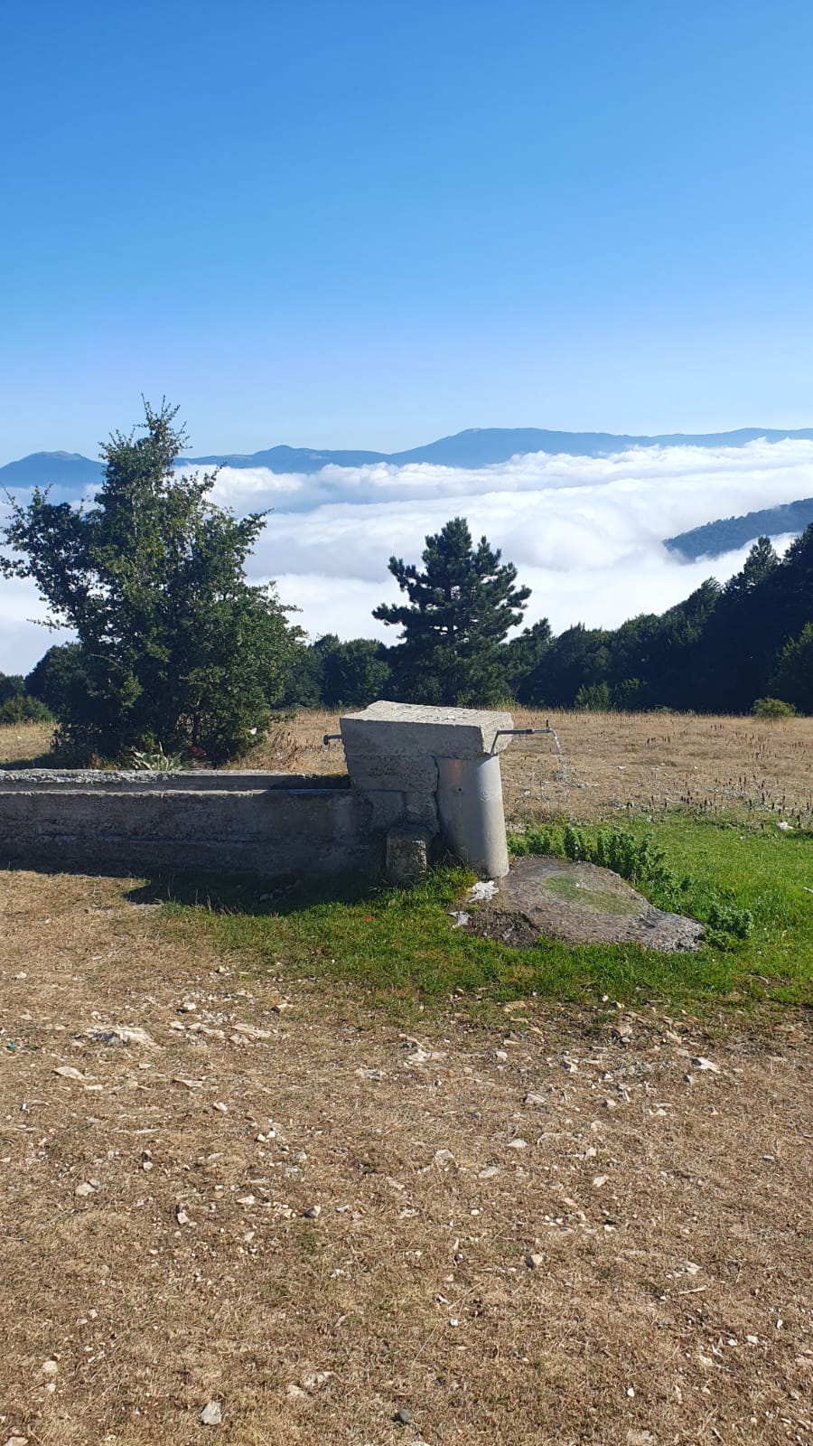 Davlumbaz Yaylası - Fotoğraf 2
