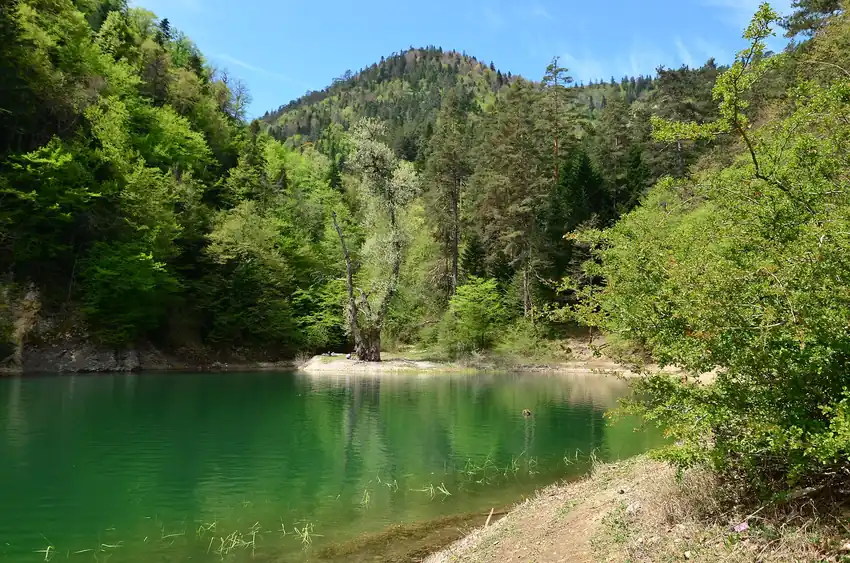 Sülüklügöl Tabiat Parkı - Fotoğraf 4