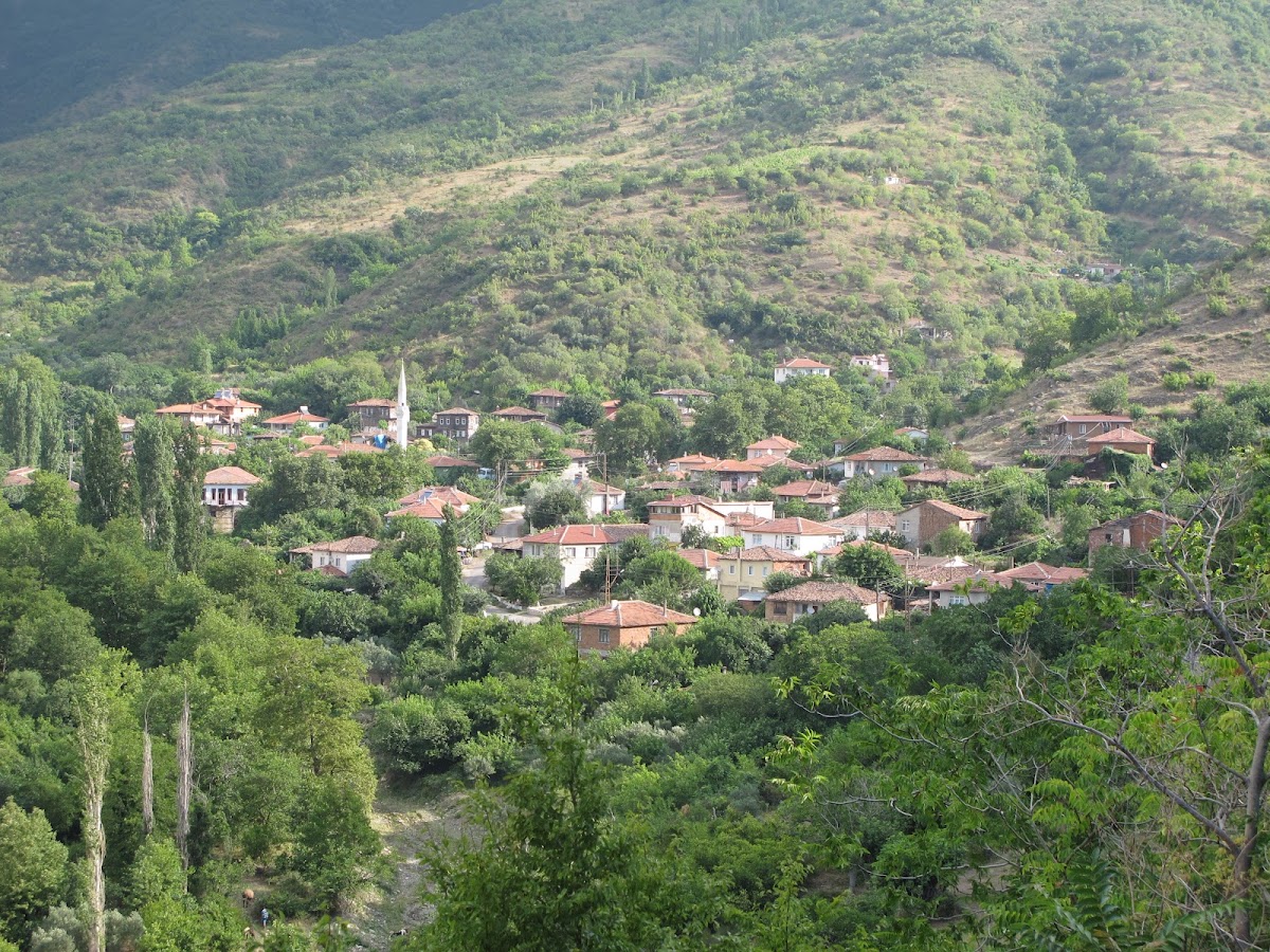 Uçmakdere Köyü ve Sahili - Fotoğraf 2