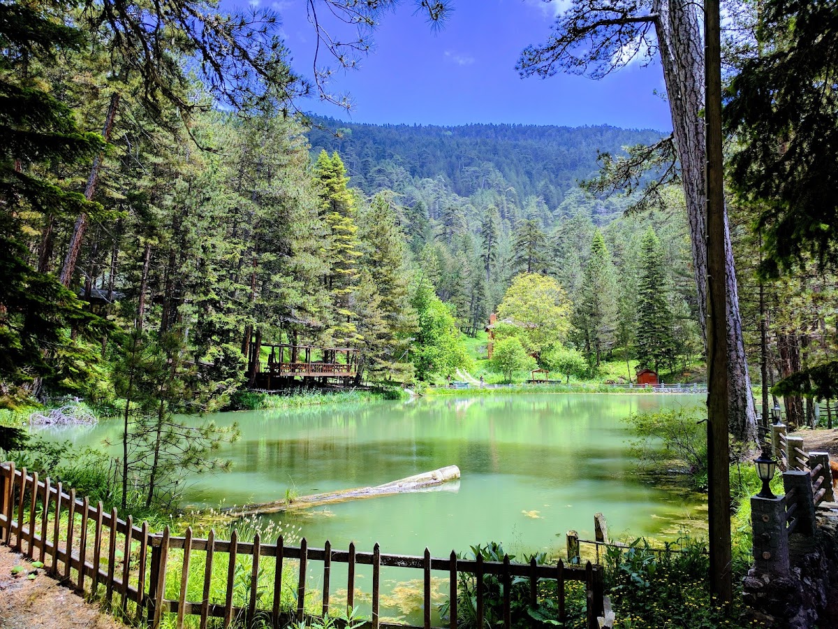 Tosya'nın gölleri
