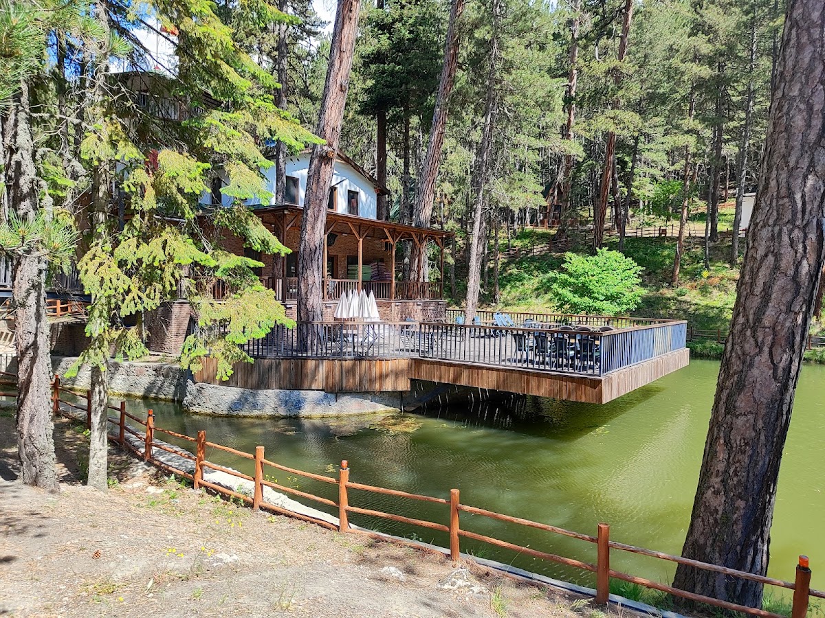 Dipsizgöl Milli Parkı - Fotoğraf 2
