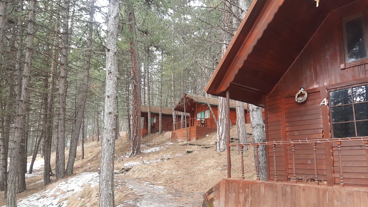 Dipsizgöl Milli Parkı - Fotoğraf 3