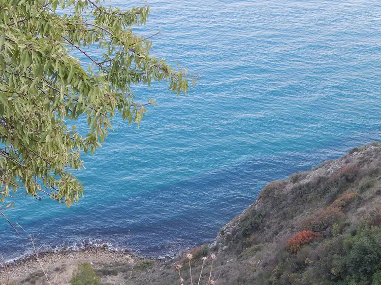 Kumbağ