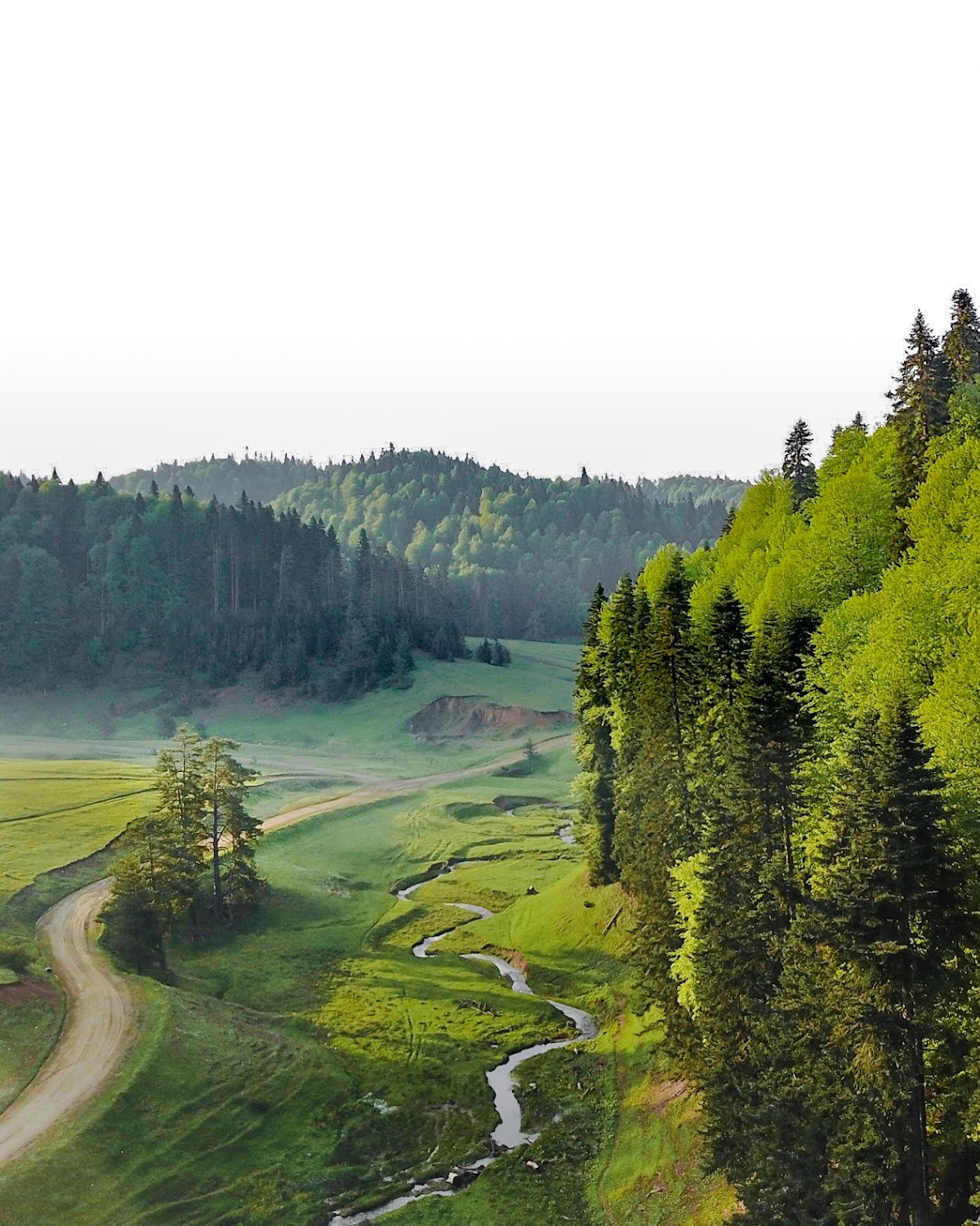 Balıklı Yaylası (Düzce) - Fotoğraf 2