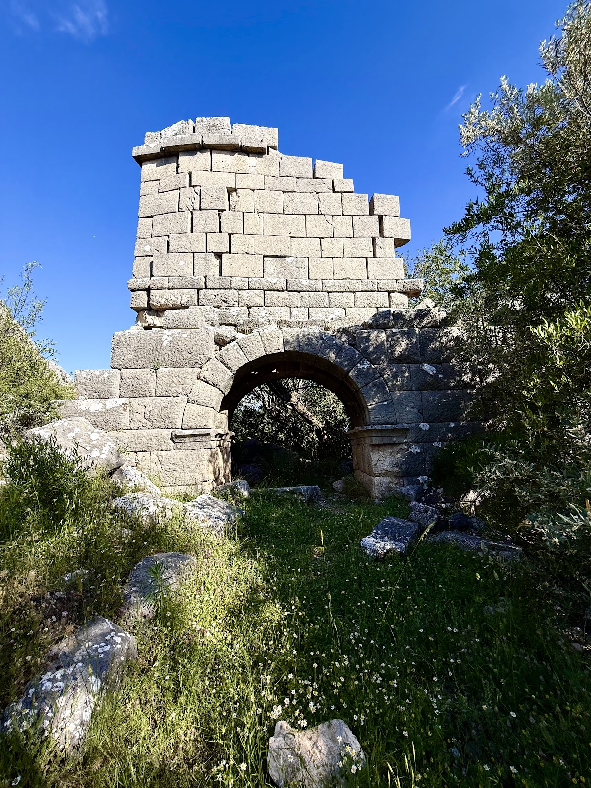 Pednelissos Antik Kenti - Fotoğraf 1
