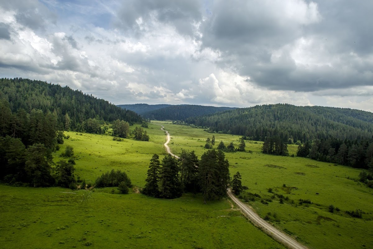 Uluyayla Kamp Alanı - Fotoğraf 1