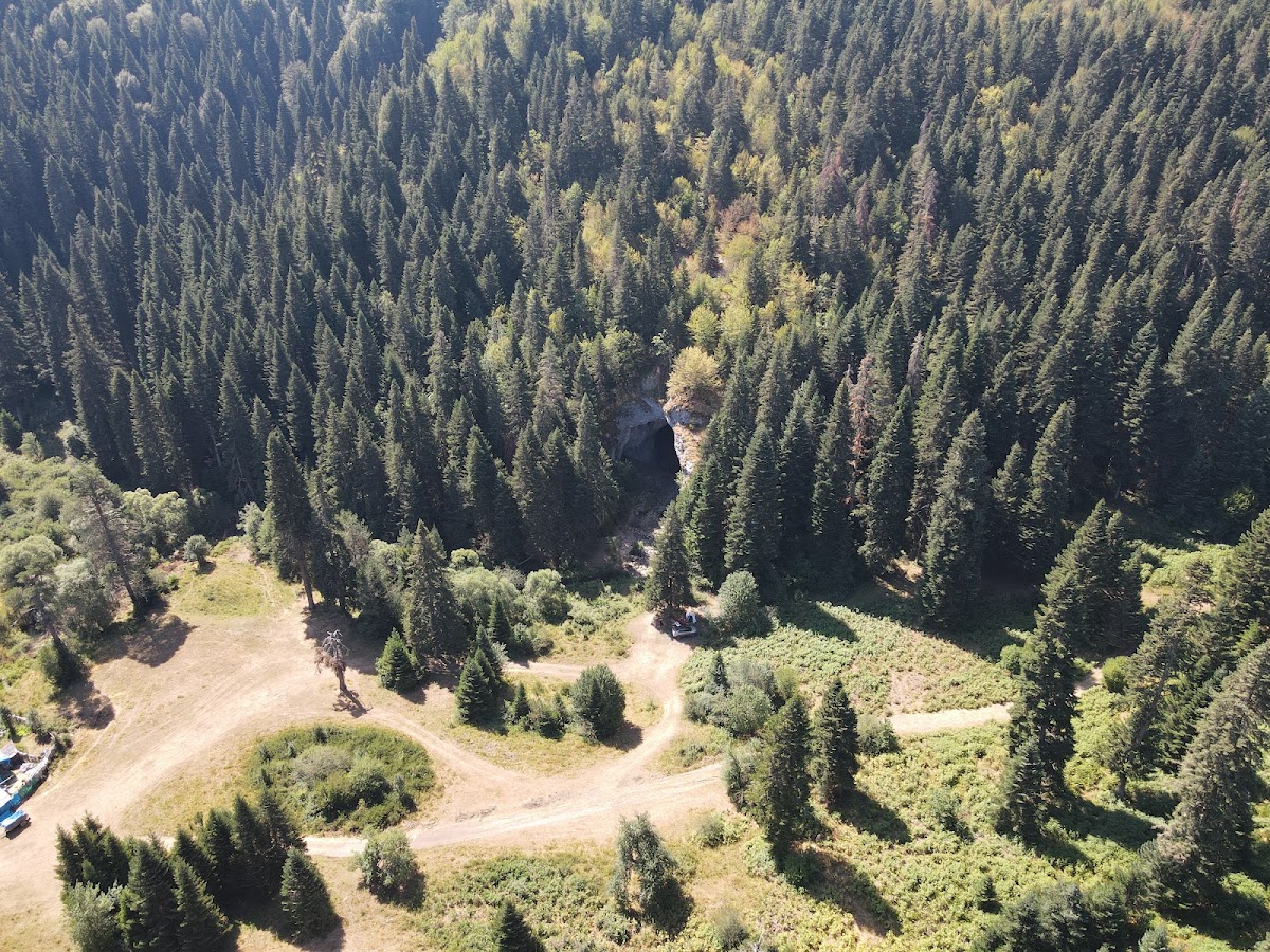 Uluyayla Kamp Alanı - Fotoğraf 2