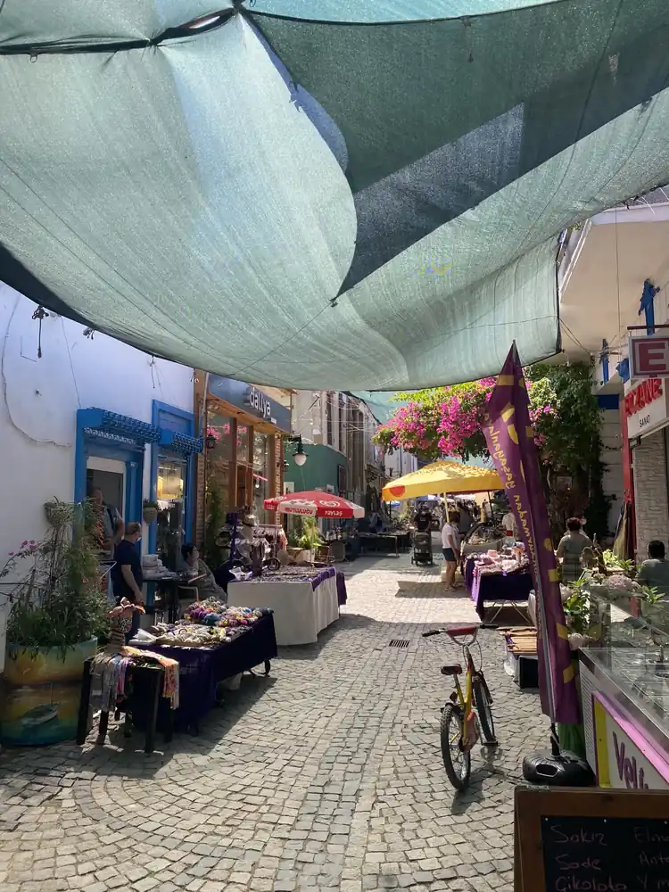 Necati Cumalı Anı Evi ve Sanat Sokağı - Fotoğraf 3