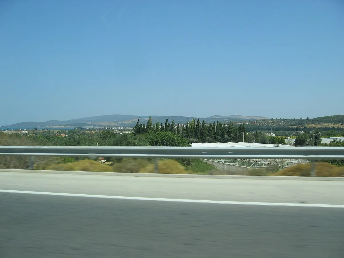 Urla Hasat :Zeytinler ve yıldızlar