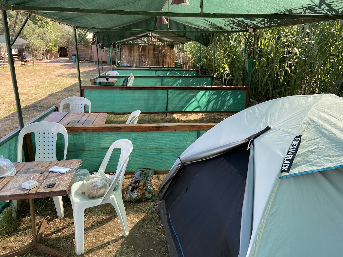 Ada Camping (Cunda Adası, Ayvalık) - Fotoğraf 2
