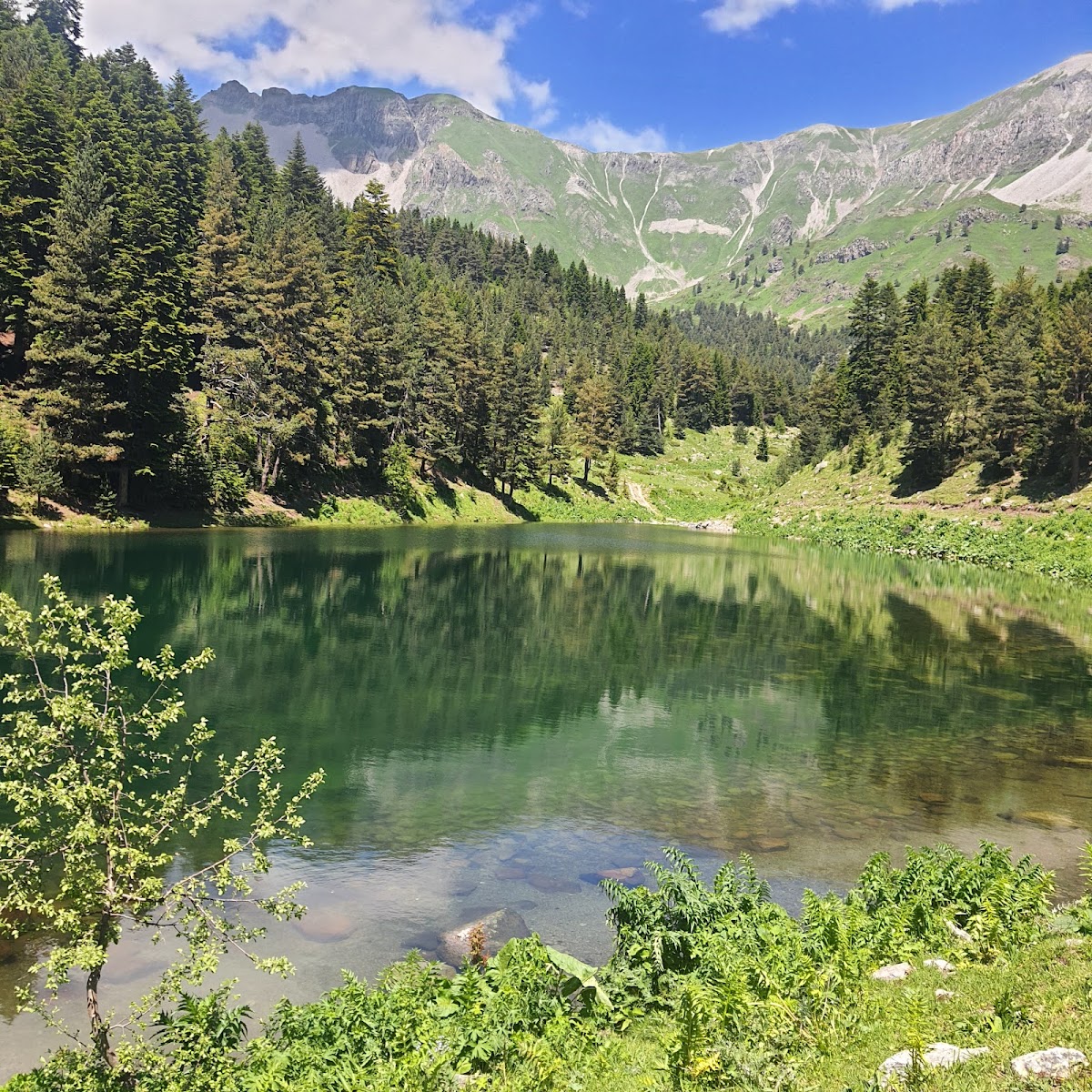 Şavşat Balık Gölü - Fotoğraf 2
