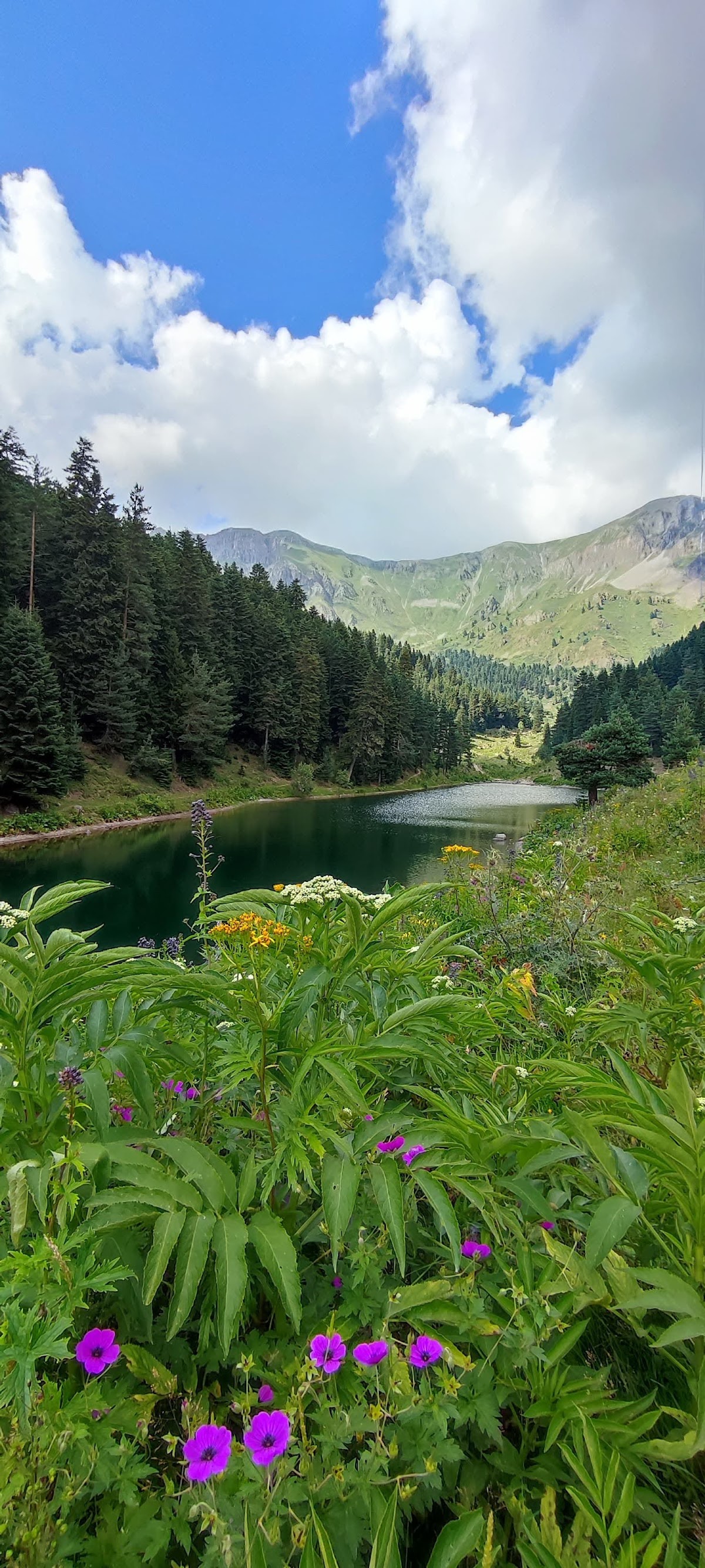 Şavşat Balık Gölü - Fotoğraf 3