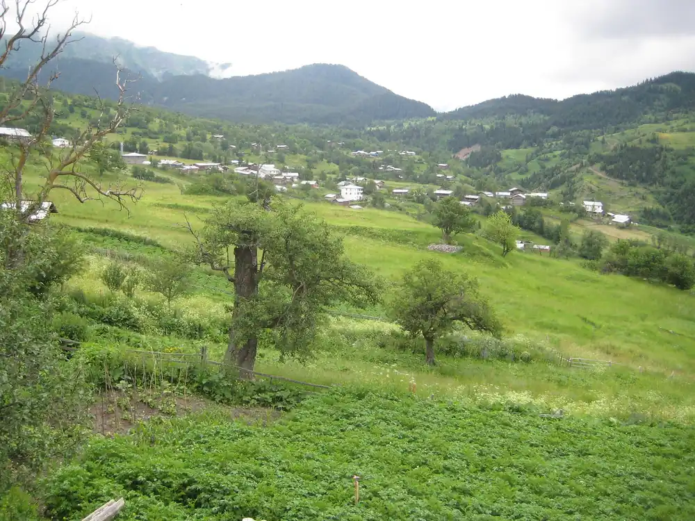 Şavşat Balık Gölü - Fotoğraf 4
